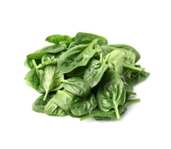 Noble Giant Spinach