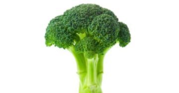 organic broccoli lahore karachi islamabad pakistan