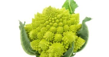 Romanesco Broccoli