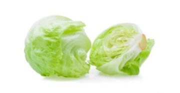 buy iceberg lettuce in lahore karachi islamabad paksitan