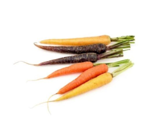 Carrots (colored)