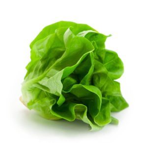 27. butter crunch lettuce