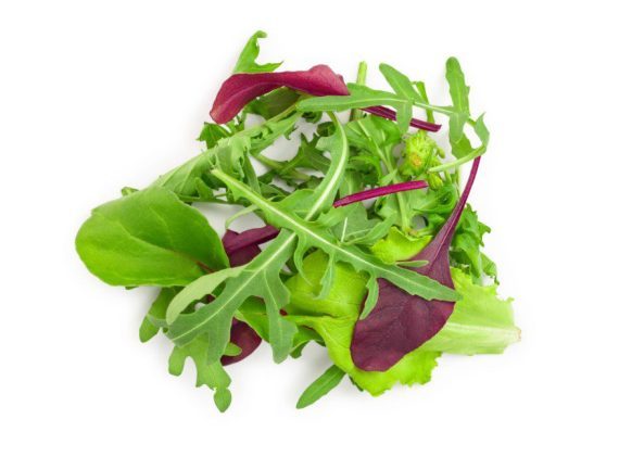 Salad Mix