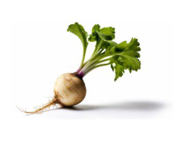 white beetroot islamabad