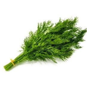 101. Dill