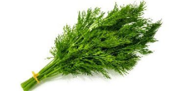 Dill