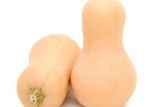 Butternut Squash