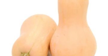 Butternut Squash