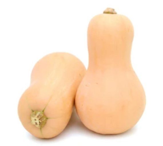 Butternut Squash