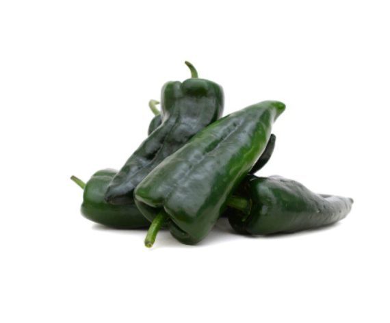 Poblano Pepper