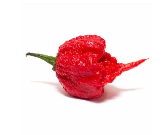 Carolina Reaper Chili