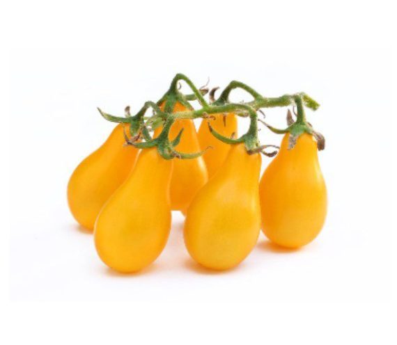 Pear Cherry Tomato