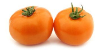 Old German Tomato