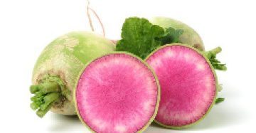 Beauty Heart Radish