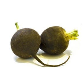 78. black spanish radish 1