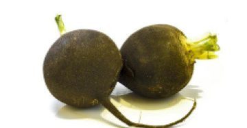 Black Spanish Radish
