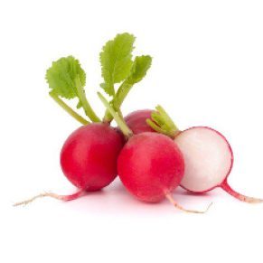 79. red ball radish