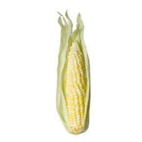 Buy Sweet Corn Ears in Lahore, Karachi, Islamabad and in Pakistan.