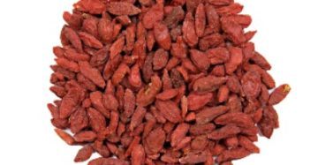 buy goji berries in lahore karachi islamabad pakistan