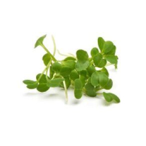 microgreens