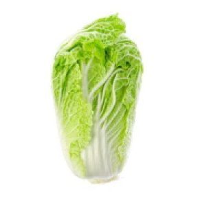 napa cabbage