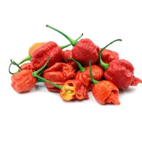 Buy carolina reaper chili seeds in Lahore, Karachi, Islamabad and across Pakistan.