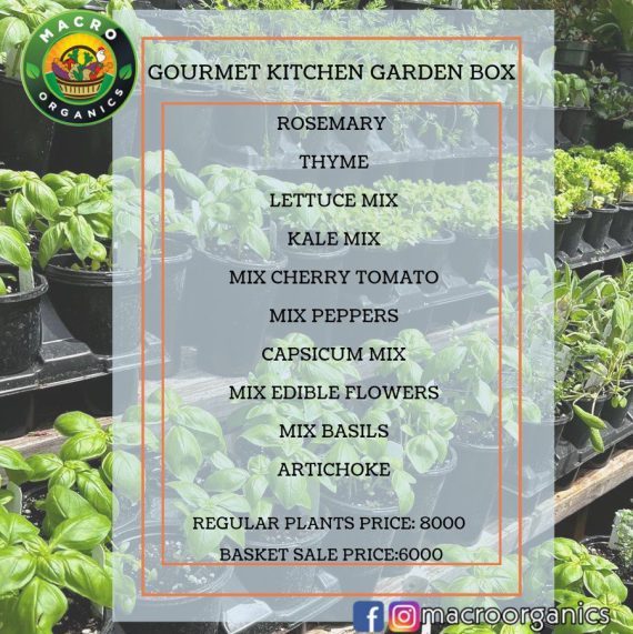 Gourmet Garden