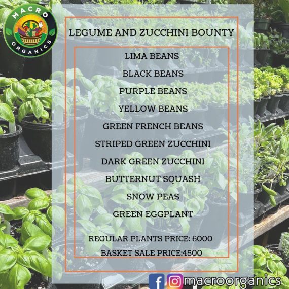 Legume Bounty