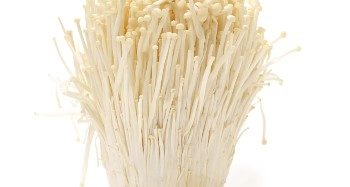 Enoki Mushroom